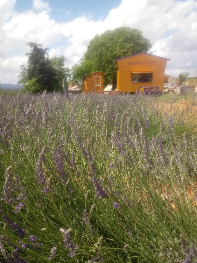 Chambre A La Ferme Au Milieu Des Lavandes Valensole Exteriör bild