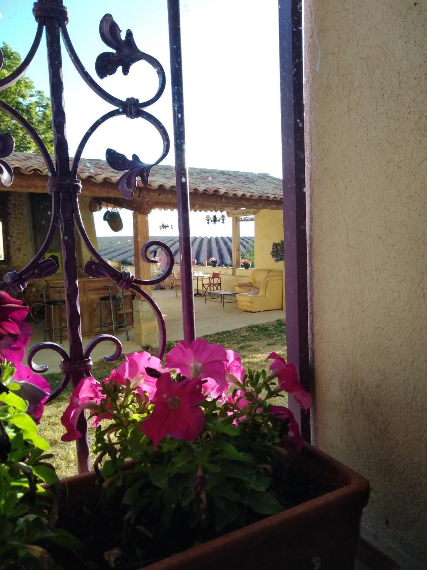 Chambre A La Ferme Au Milieu Des Lavandes Valensole Exteriör bild